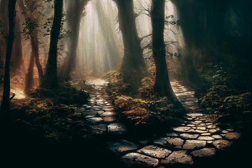 霧の中を進む石畳の小道の写真