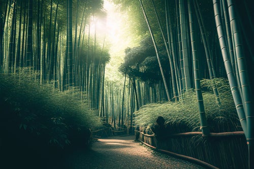 竹林の奥へと続く道の写真