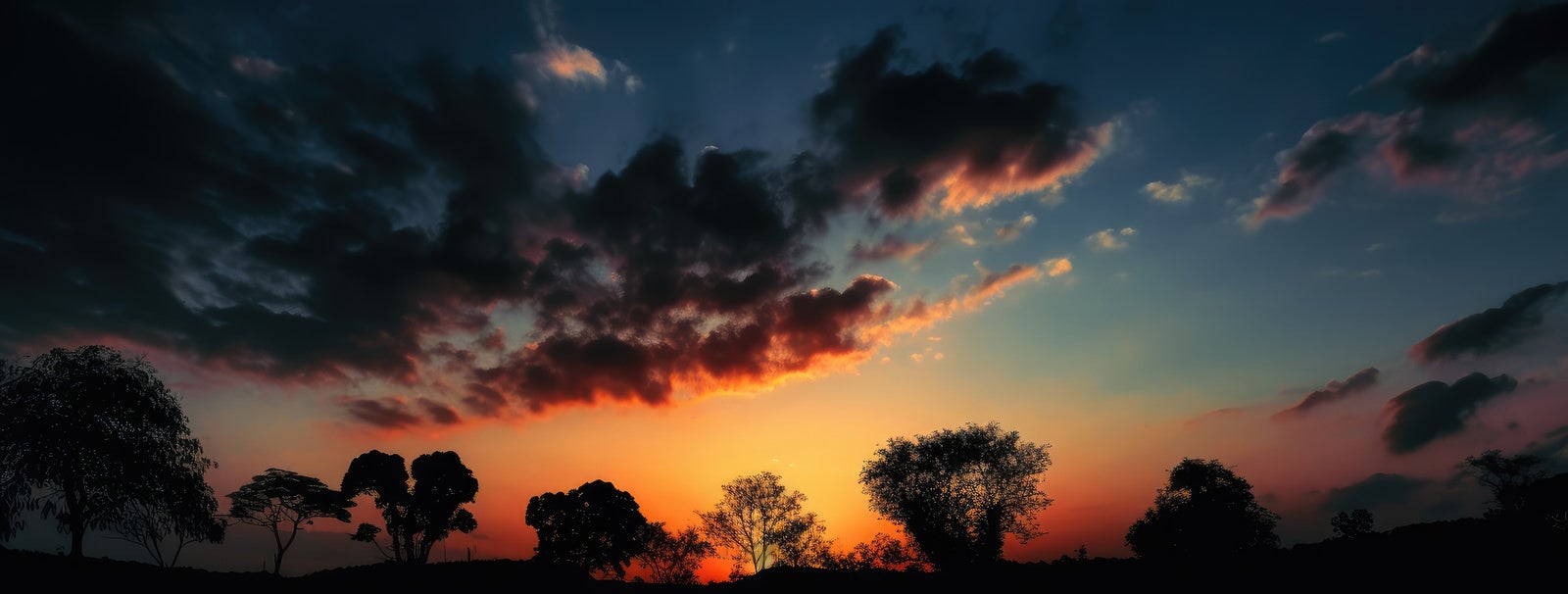 「夕焼け空と木々のシルエット」の写真
