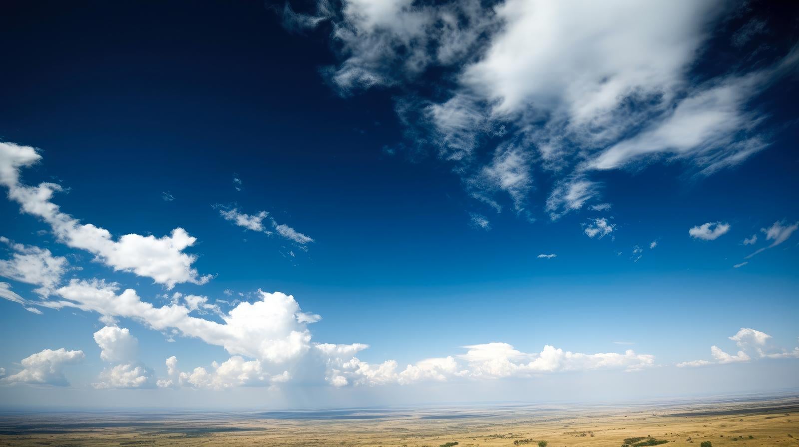 「青空と地平線」の写真