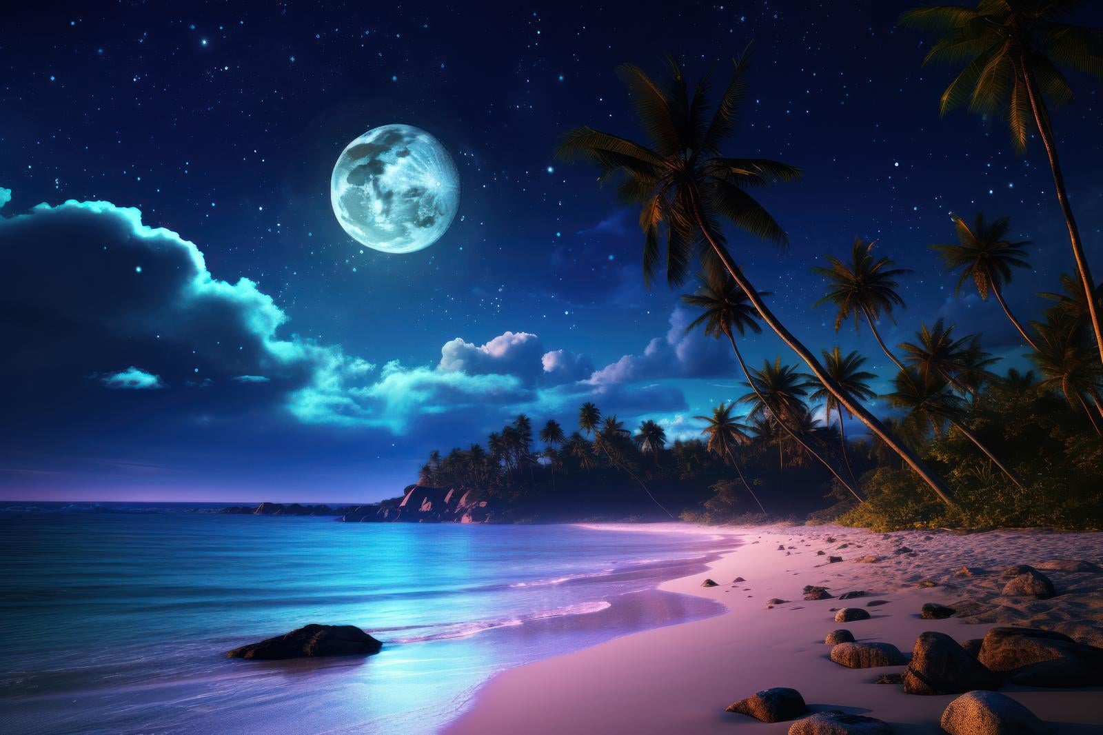 「月明かりが浜辺を照らす南国の海」の写真