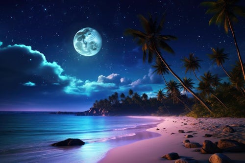 月明かりが浜辺を照らす南国の海の写真