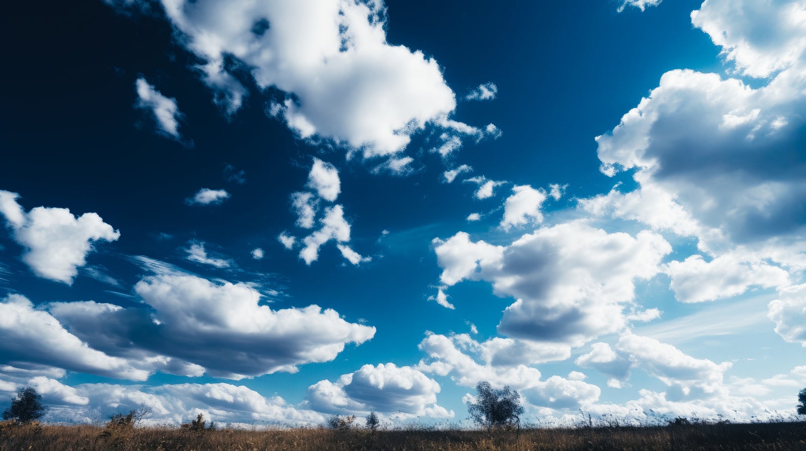 「青空と白い雲」の写真