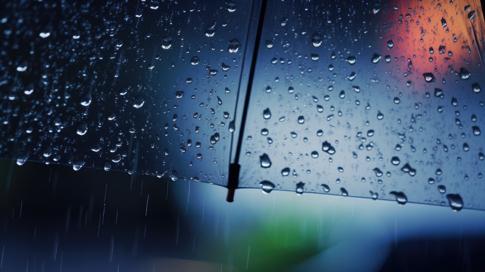 「傘についた水滴」の写真