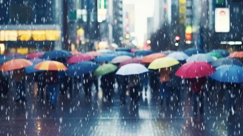 傘を差して雨を防ぐ人たちの写真