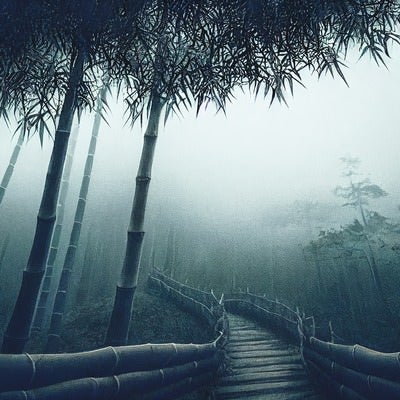 竹林と木道の写真