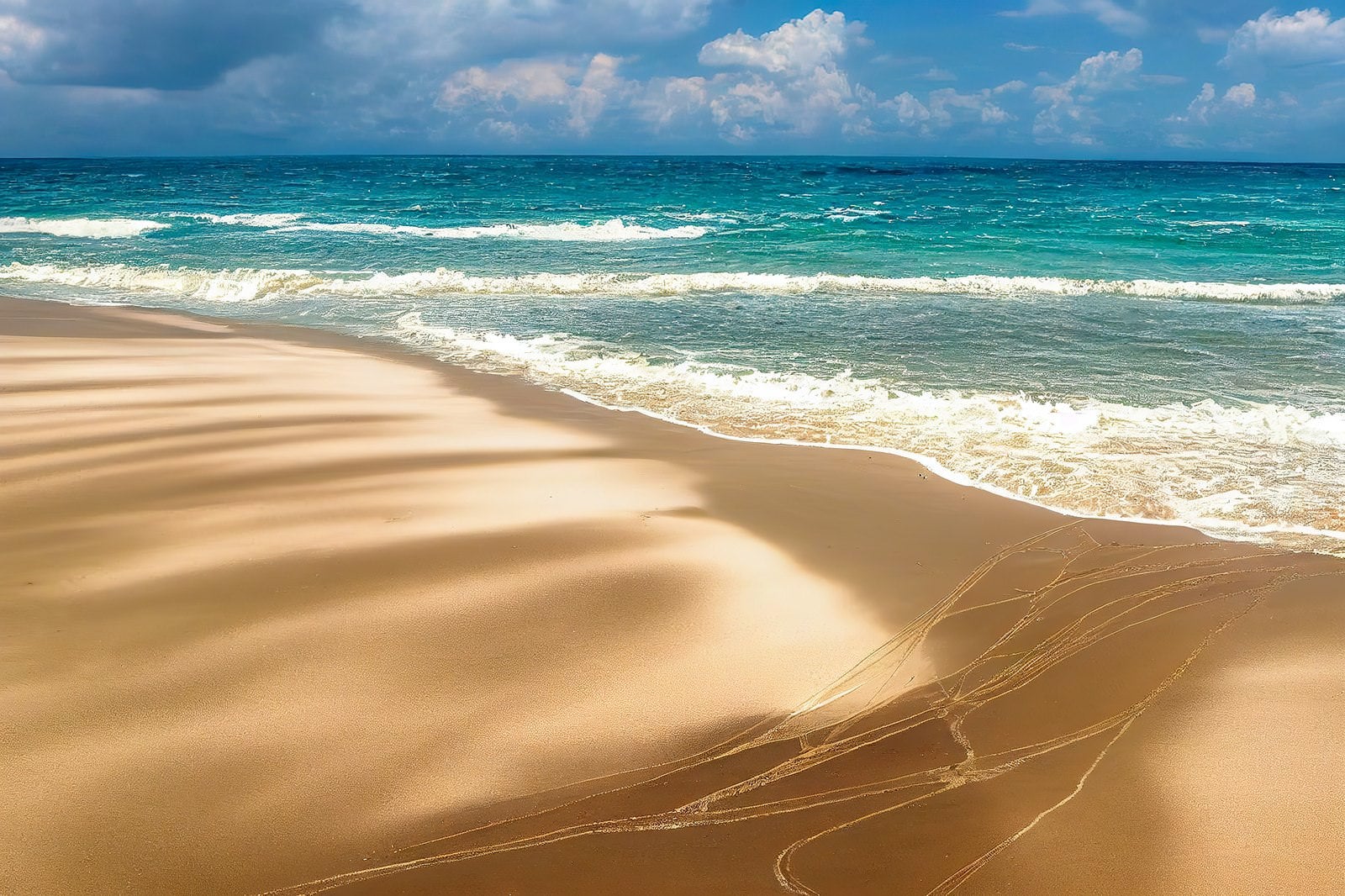 「南国の白浜と青い海」の写真