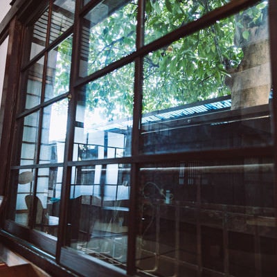 和室のガラス窓から見える庭の木漏れ日の写真