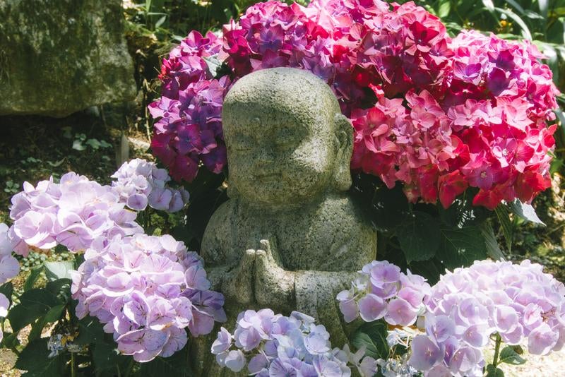 紫陽花に囲まれて立つお地蔵様の写真