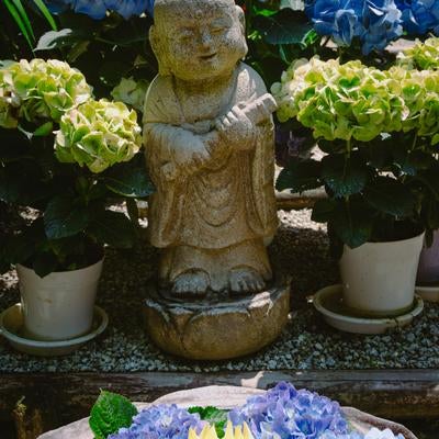 紫陽花に囲まれ紫陽花とダリヤで満たされた水盤を前に微笑むお地蔵様の写真