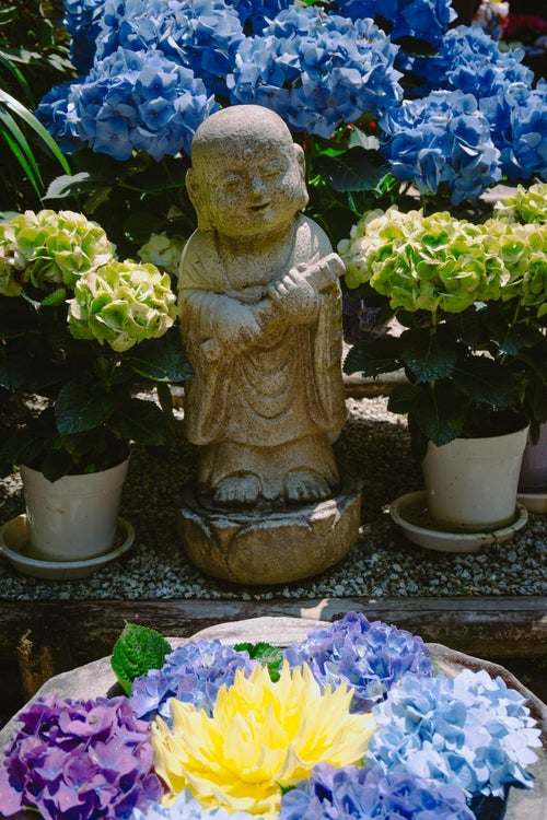 紫陽花に囲まれ紫陽花とダリヤで満たされた水盤を前に微笑むお地蔵様の写真