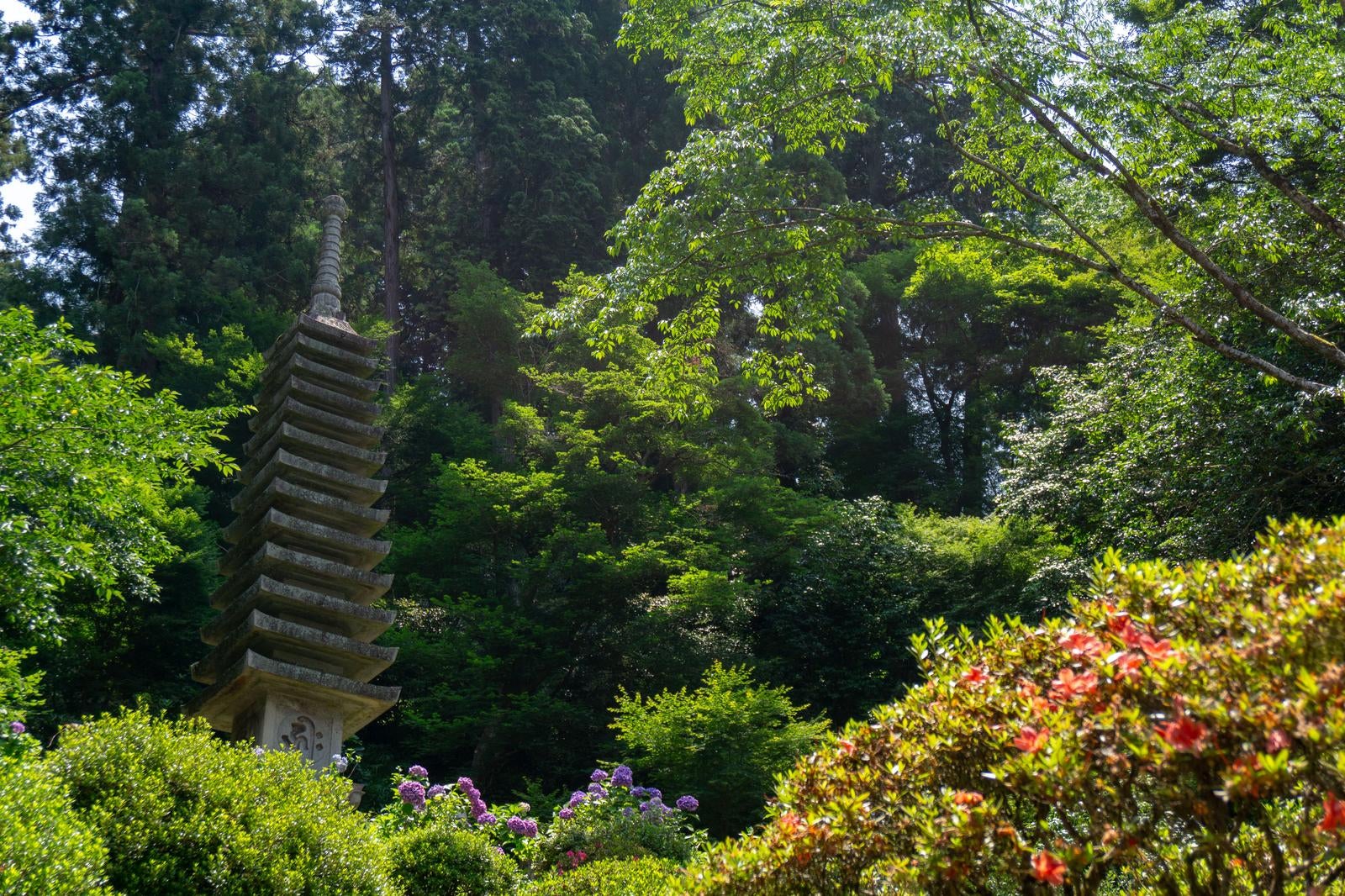 「緑の木々に囲まれる十三重石塔の姿」の写真