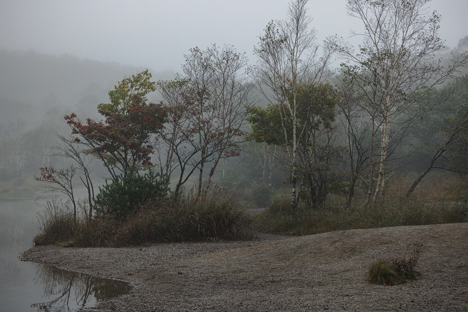 「霧の中の小沼湖畔」の写真