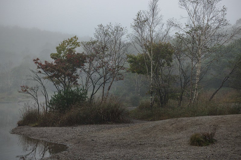 霧の中の小沼湖畔の写真