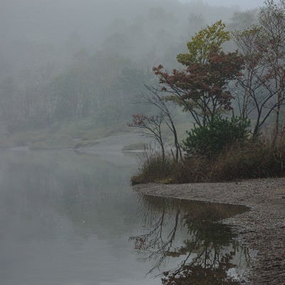 小沼の湖面に反射する木々の写真