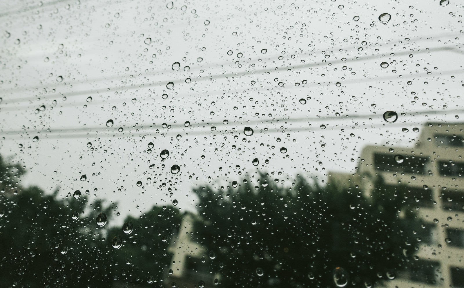 「夕方にかけて雨」の写真