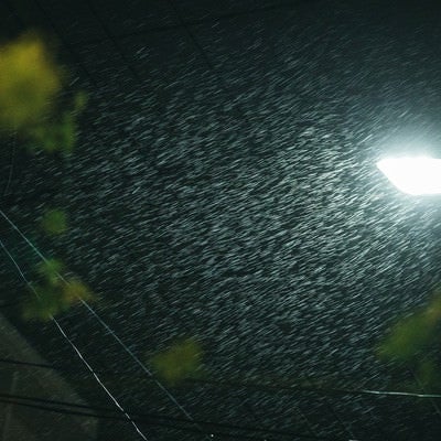 深夜にものすごい豪雨の写真