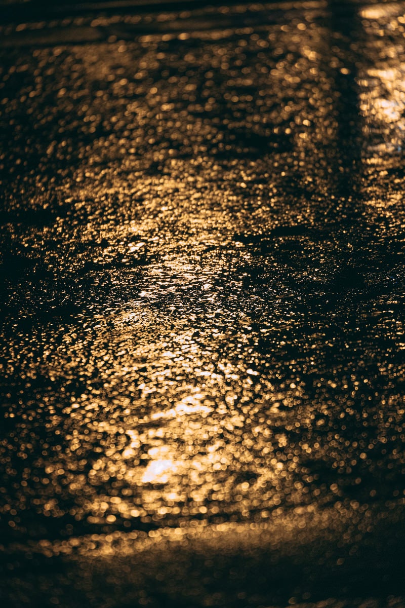 「雨で濡れたアスファルトと反射する光」の写真