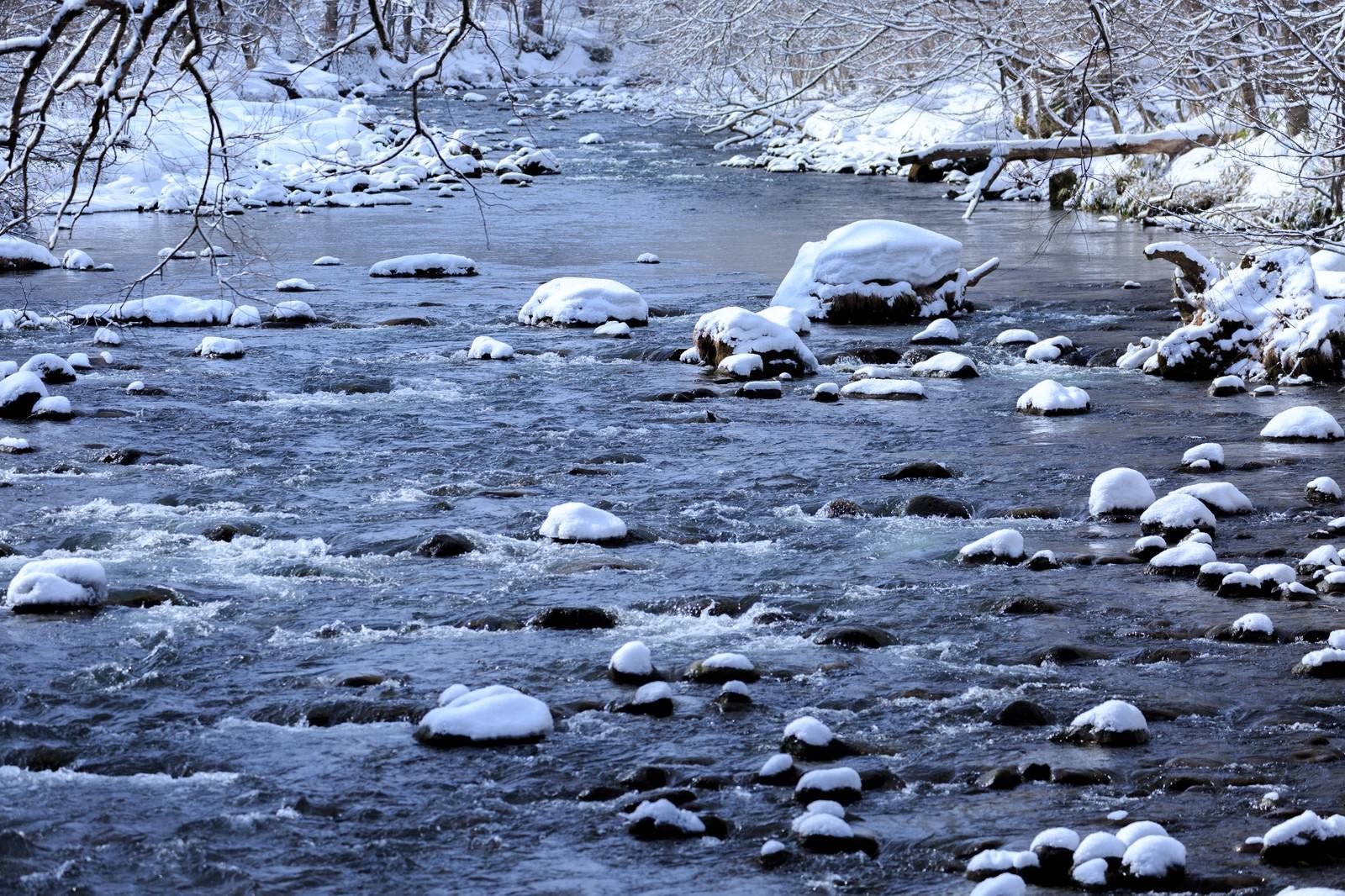 「冬の奥入瀬渓流」の写真