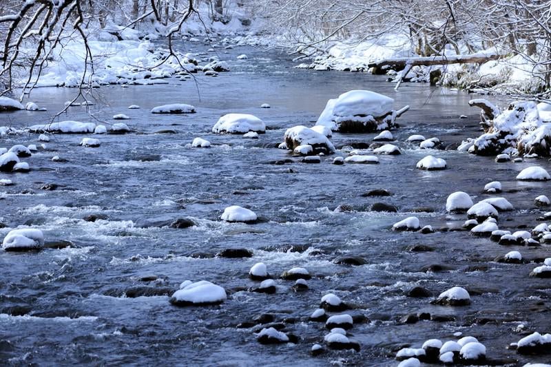 冬の奥入瀬渓流の写真