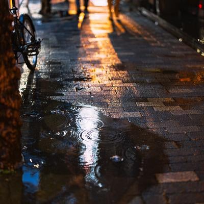 雨に濡れた夜の舗道に映る光と人々の影の写真