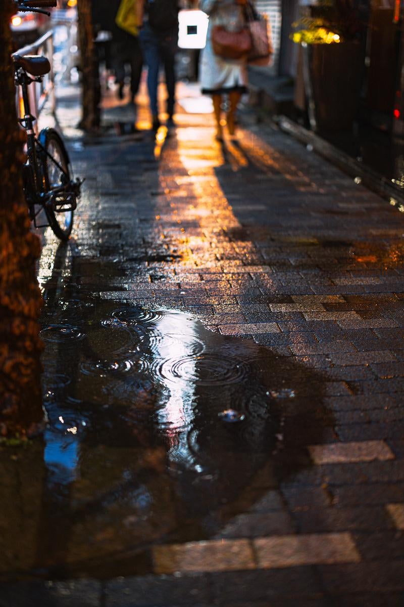 雨に濡れた夜の舗道に映る光と人々の影の写真