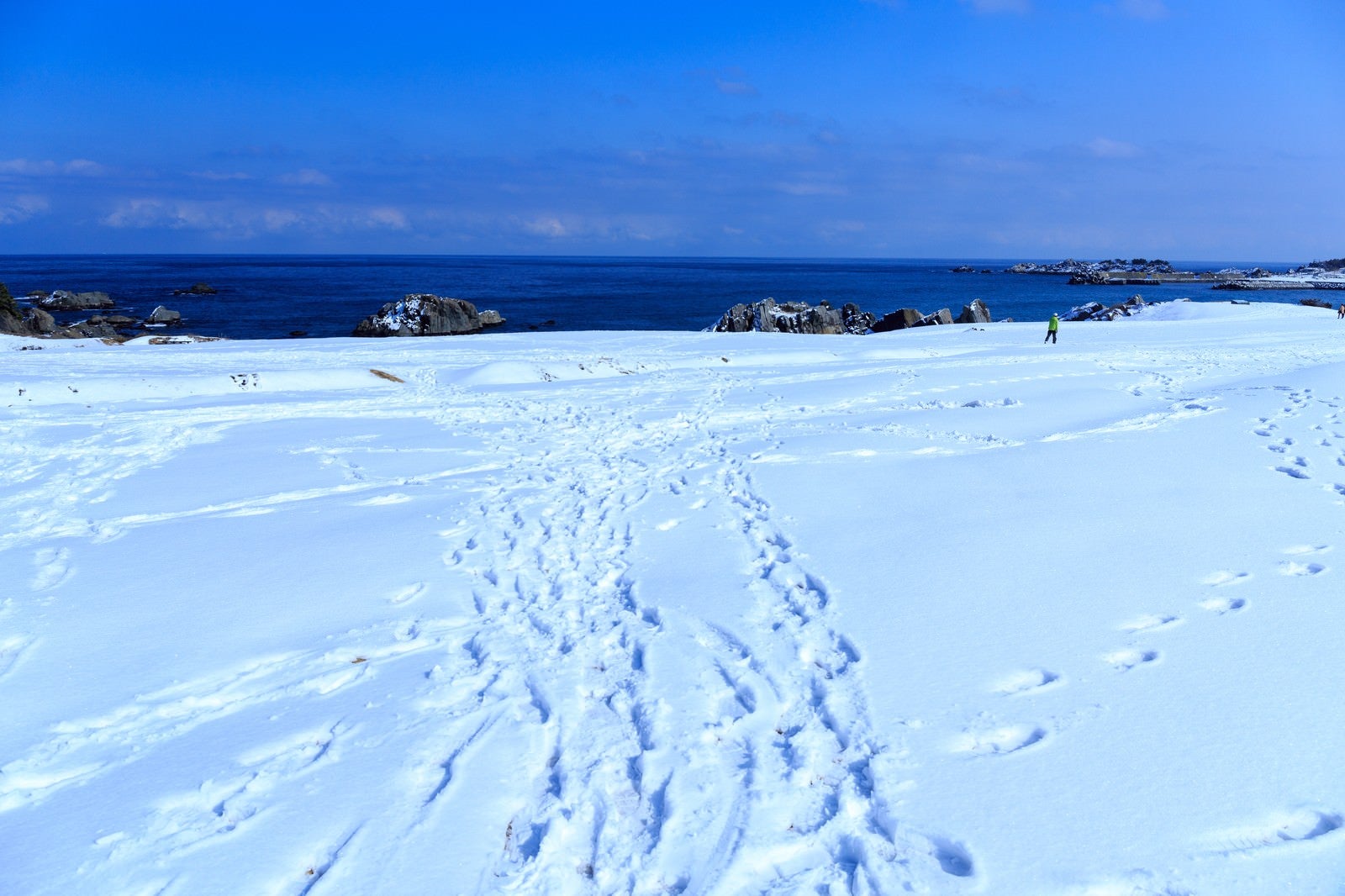 「雪の種差海岸」の写真