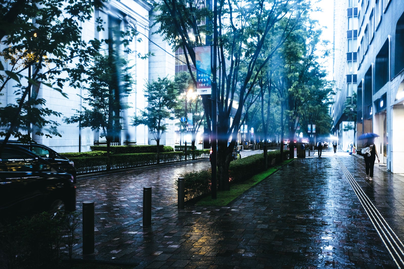 「傘と雨日」の写真