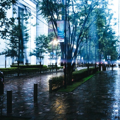 傘と雨日の写真