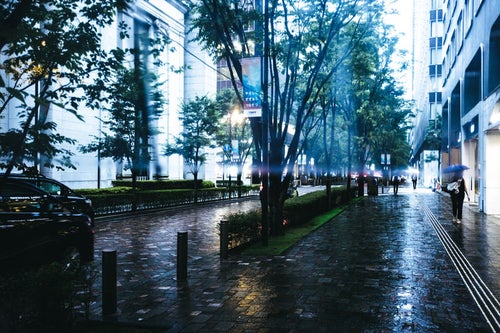 傘と雨日の写真