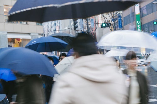 傘をさす歩行者の写真