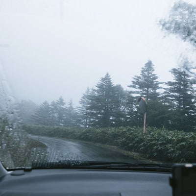 雨天時に走行する車の中の写真