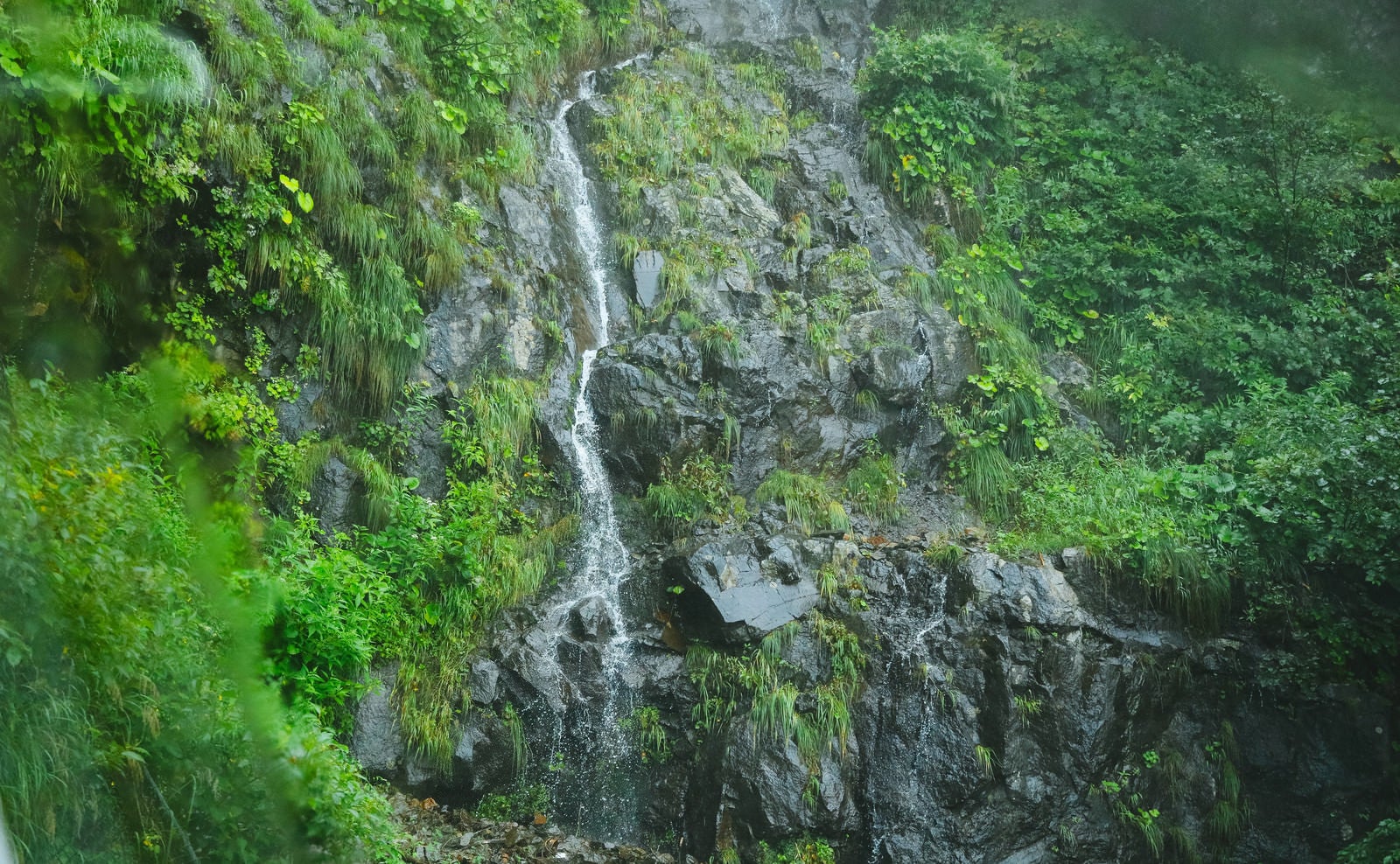「山の斜面から流れる大量の雨水」の写真