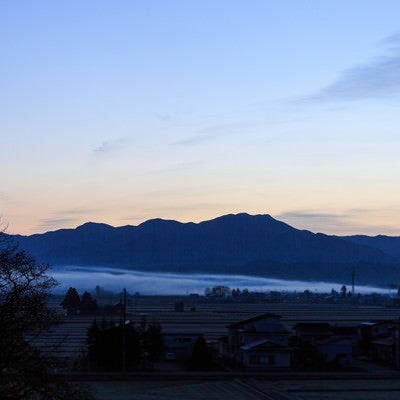 霧の中の朝（田舎）の写真