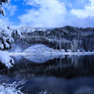 山間の沼地（雪化粧）の写真