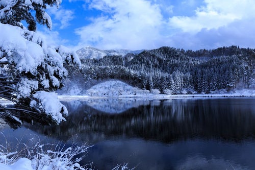 山間の沼地（雪化粧）の写真