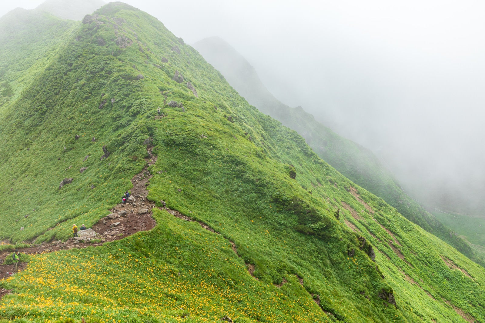「秋田駒ヶ岳の稜線」の写真