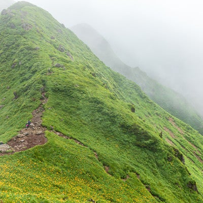 秋田駒ヶ岳の稜線の写真