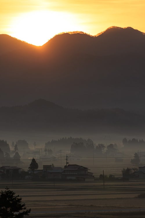 夜明け、霧に包まれた田舎の写真
