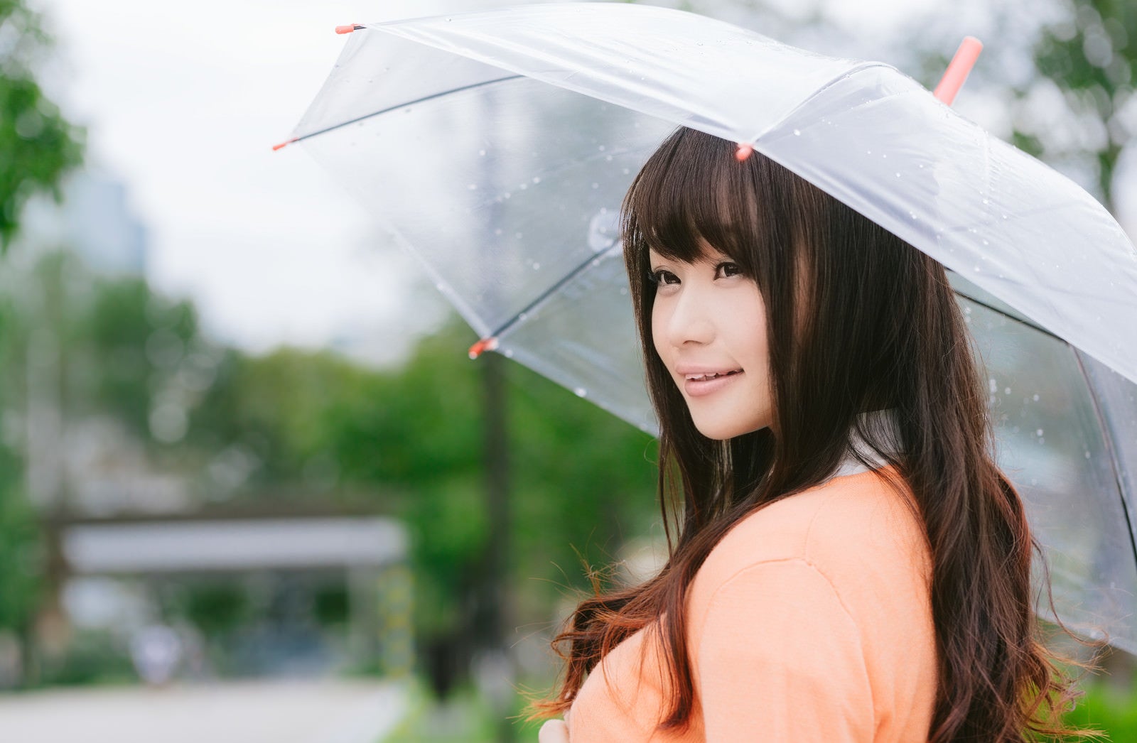 「雨の日と傘と美女」の写真