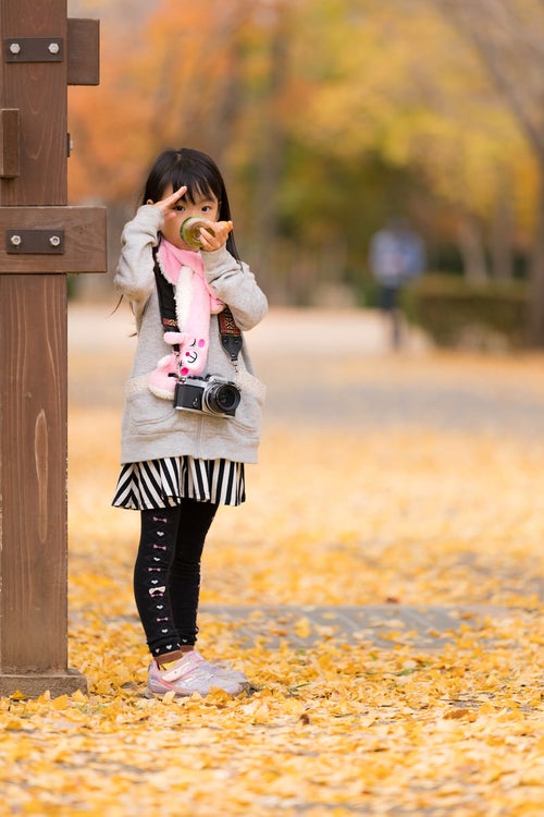 落ち葉の公園に遊びに来た女の子の写真