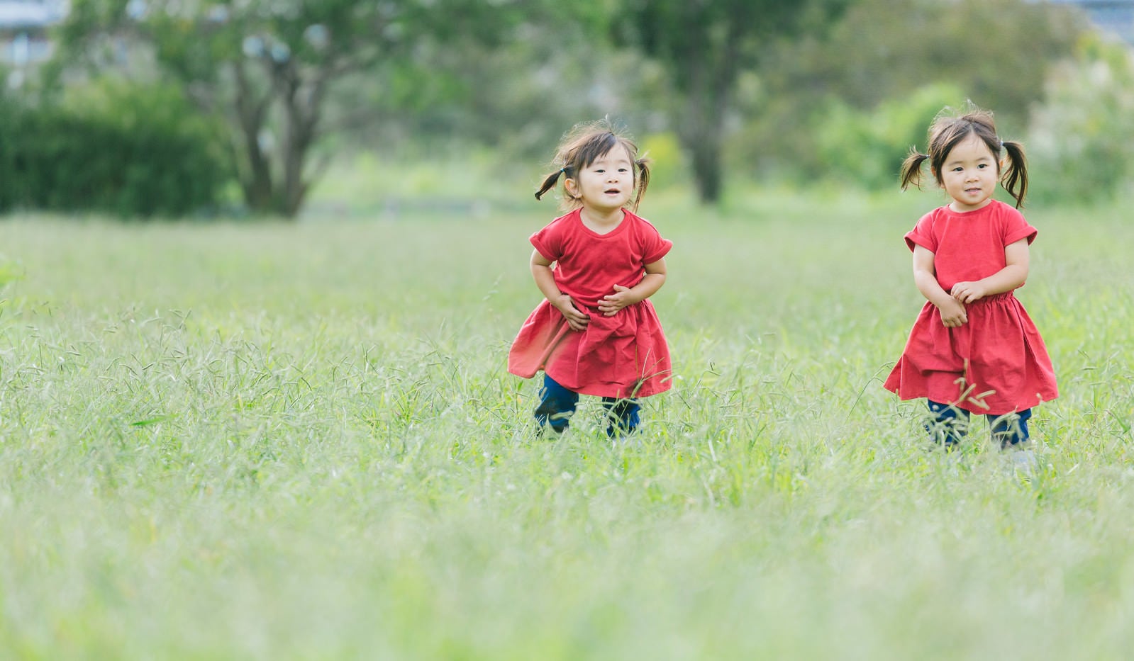 「原っぱと双子の女児」の写真［モデル：あおみどり］