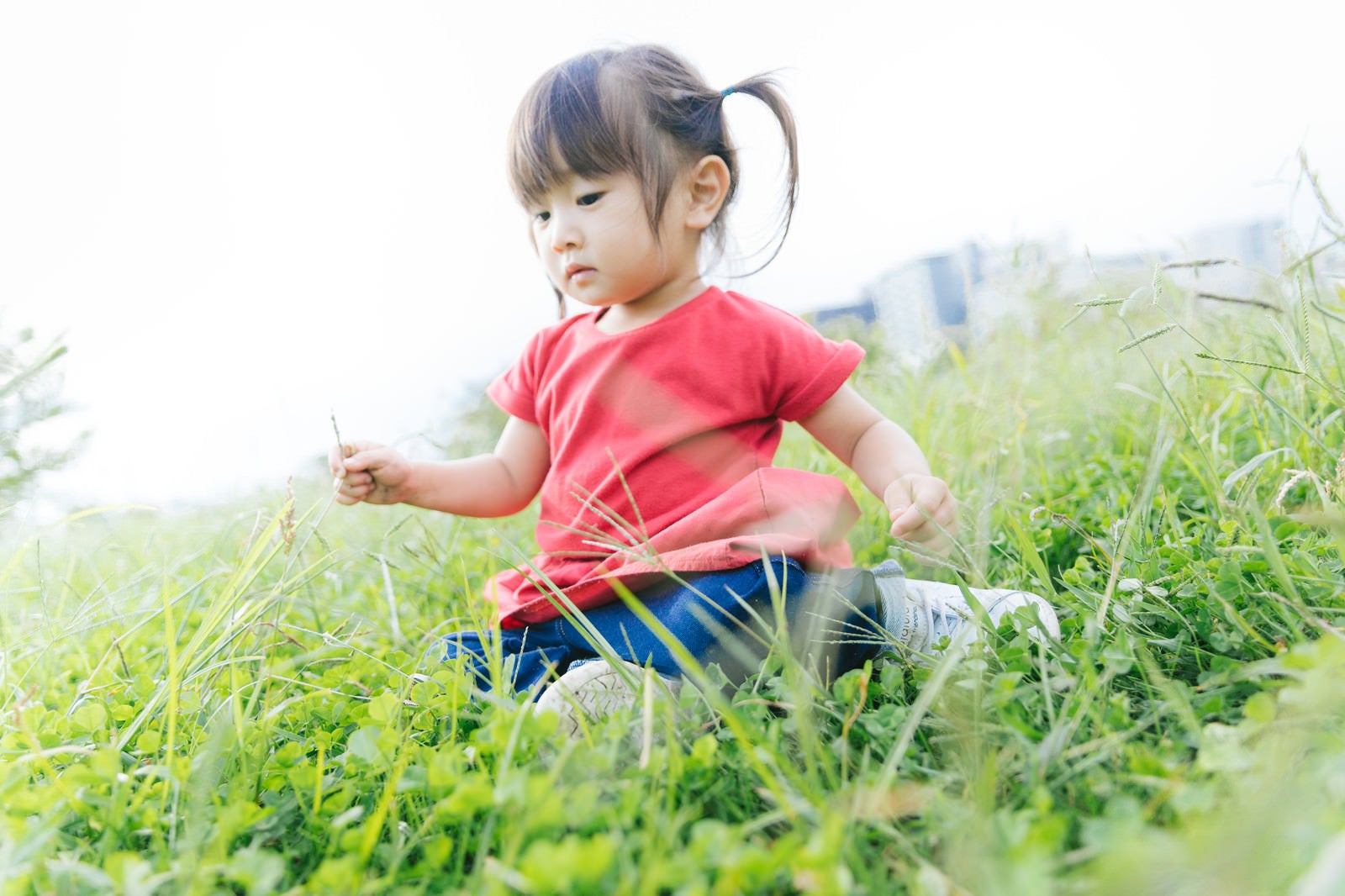 「草むらで遊ぶ小さい女の子」の写真［モデル：あおみどり］