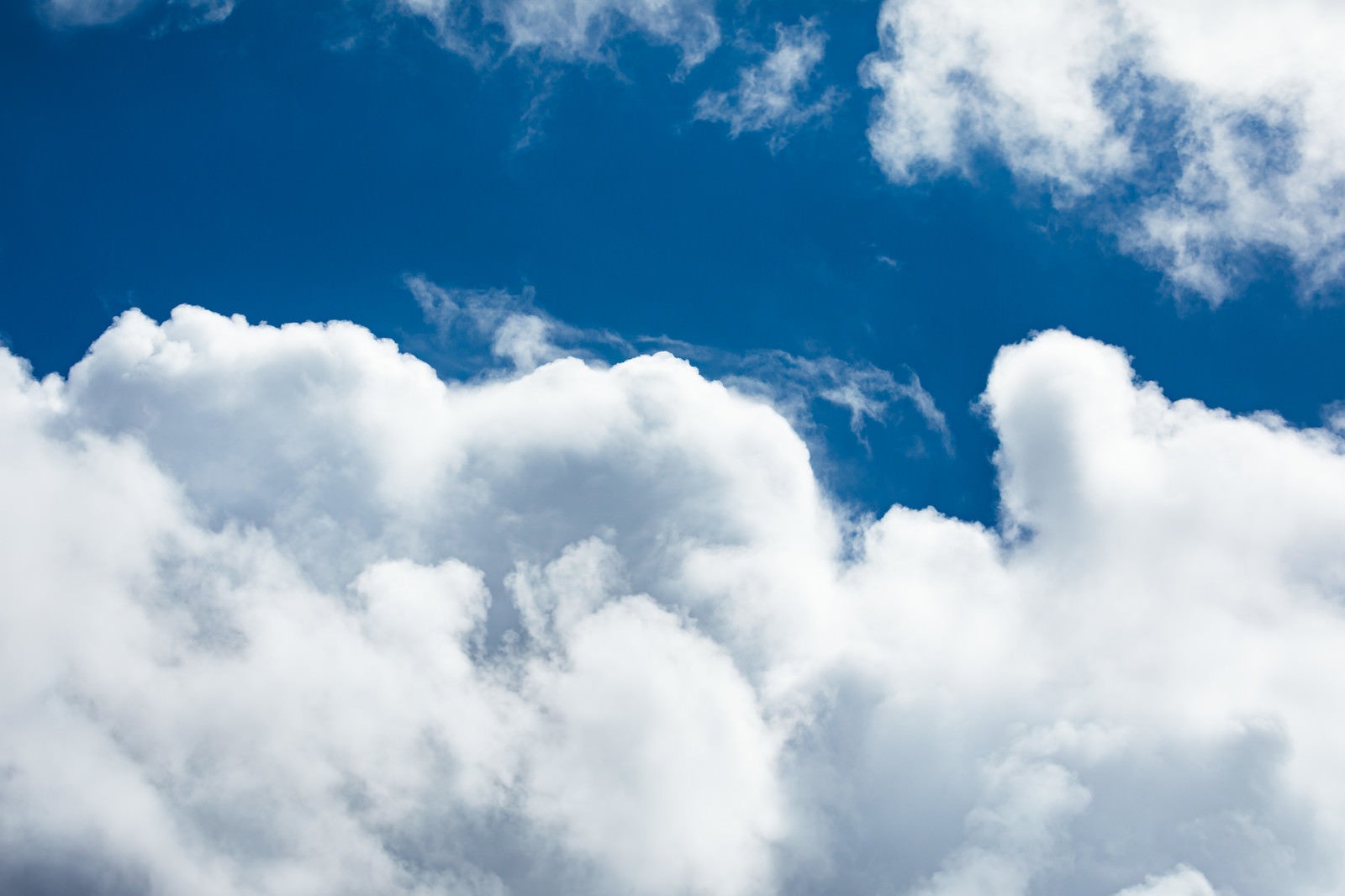 「夏空と積乱雲」の写真