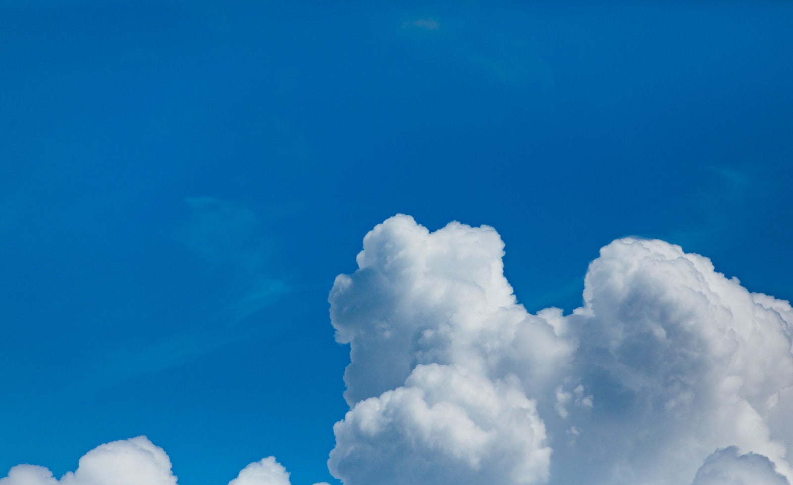 「夏の空と積乱雲」の写真