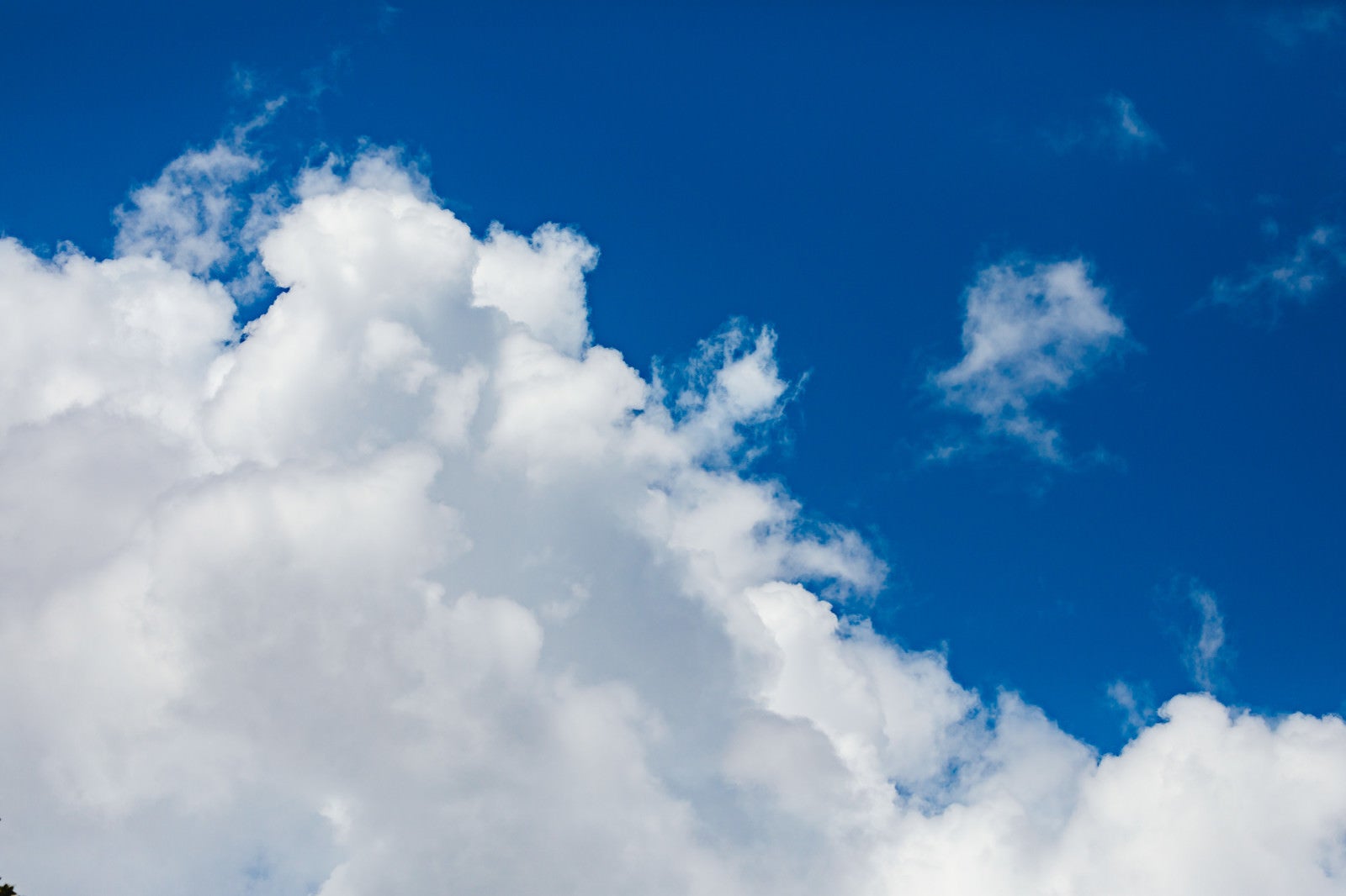 「青空に広がる雲」の写真