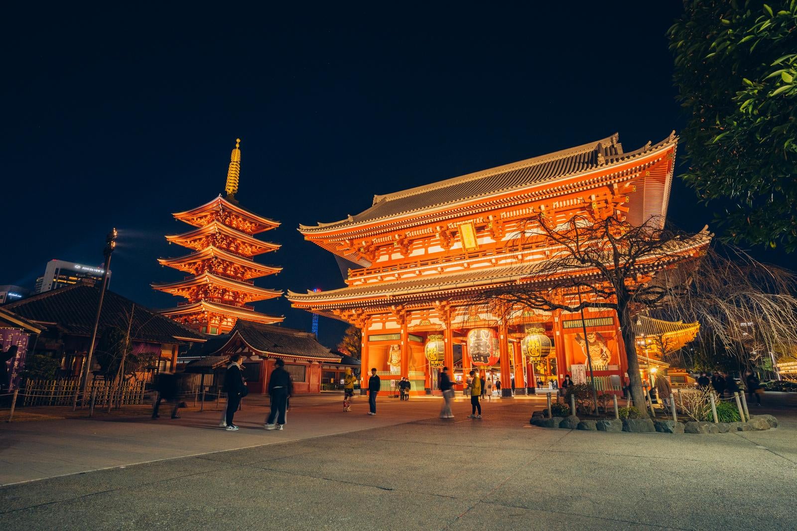 「浅草寺と五重塔の魅力的な夜景」の写真