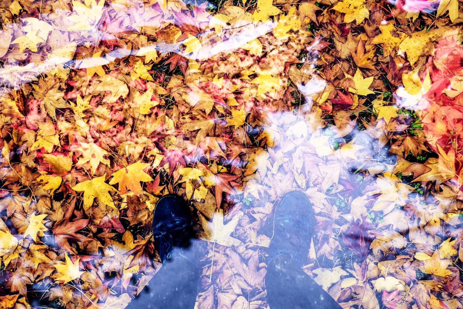 「落ち葉と足元」の写真