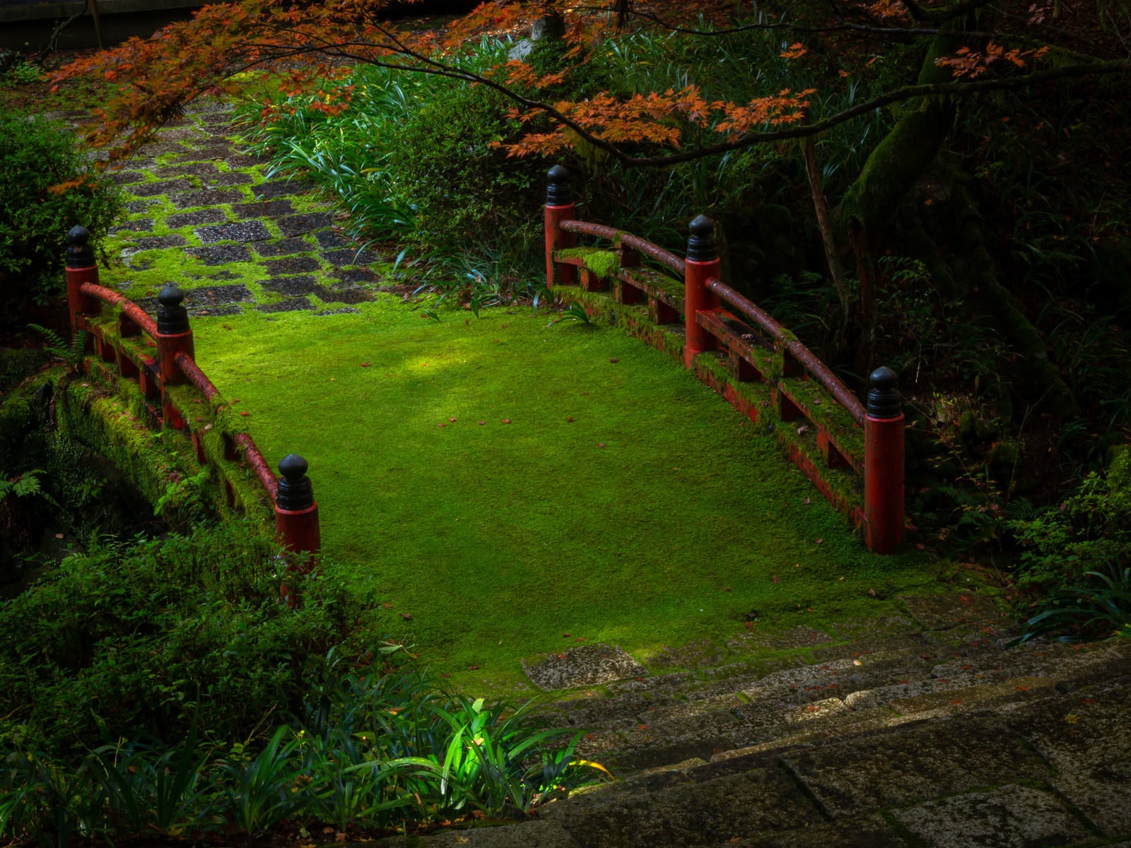 「横蔵寺の苔むした赤い橋」の写真