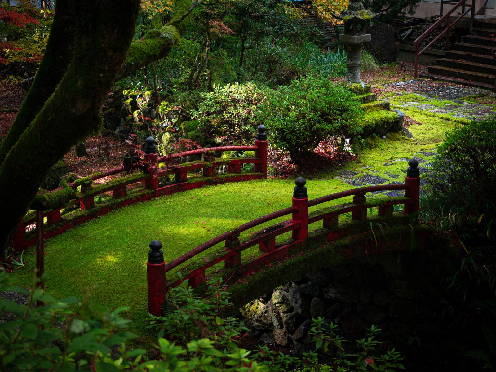 「横蔵寺境内を流れる飛鳥川にかかる苔むした赤い橋」の写真